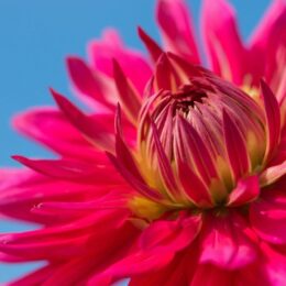 How to Personalize Any Celebration (Even If You’re Keeping It Simple)