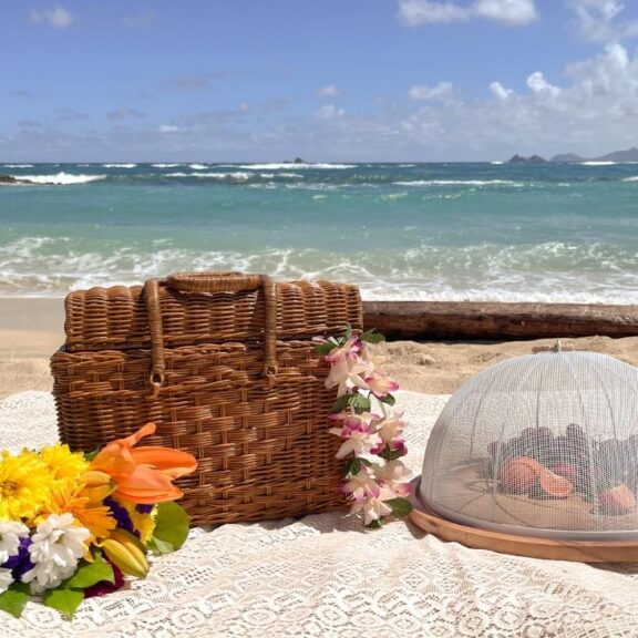 solo picnic basket