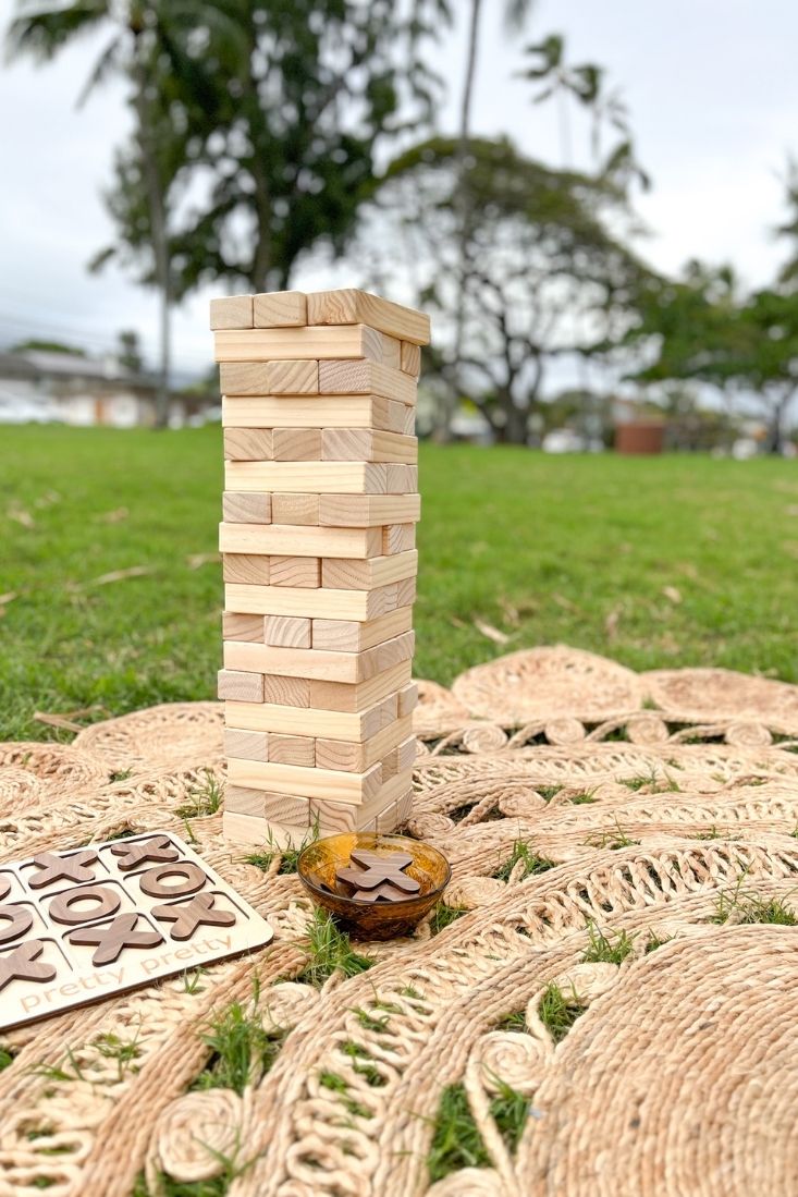 outdoor games luxury picnic