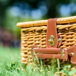 7 Simple Joys of Going on a Picnic Alone
