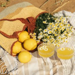 Self-Love in A Basket: Why Every Solo Picnic Comes With a Journal